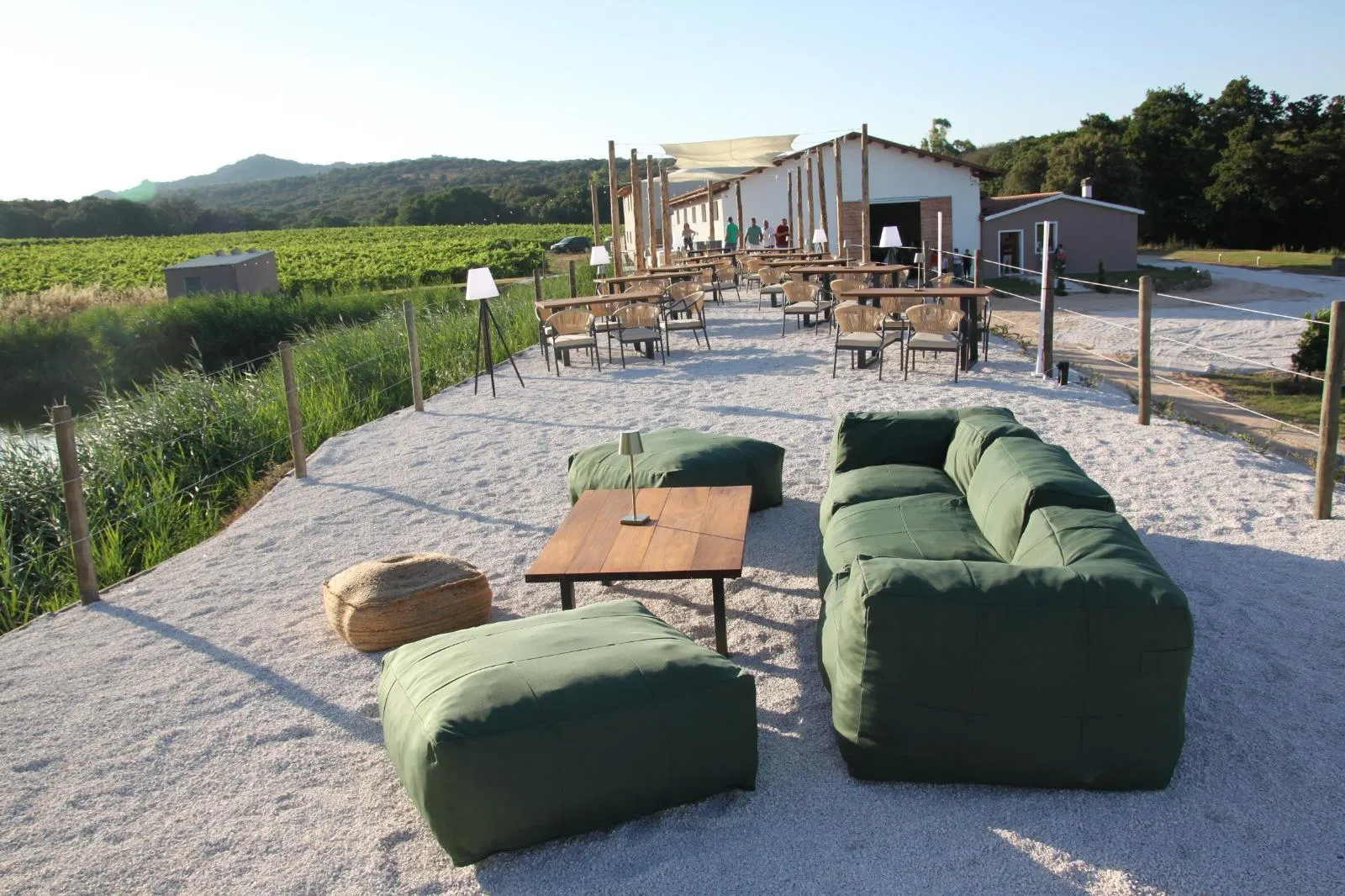 Relaxation facing the vineyard