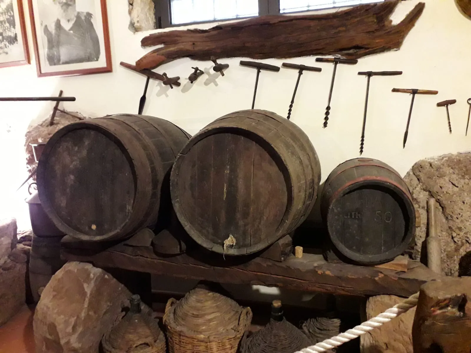 Il vino che ha vissuto il legno