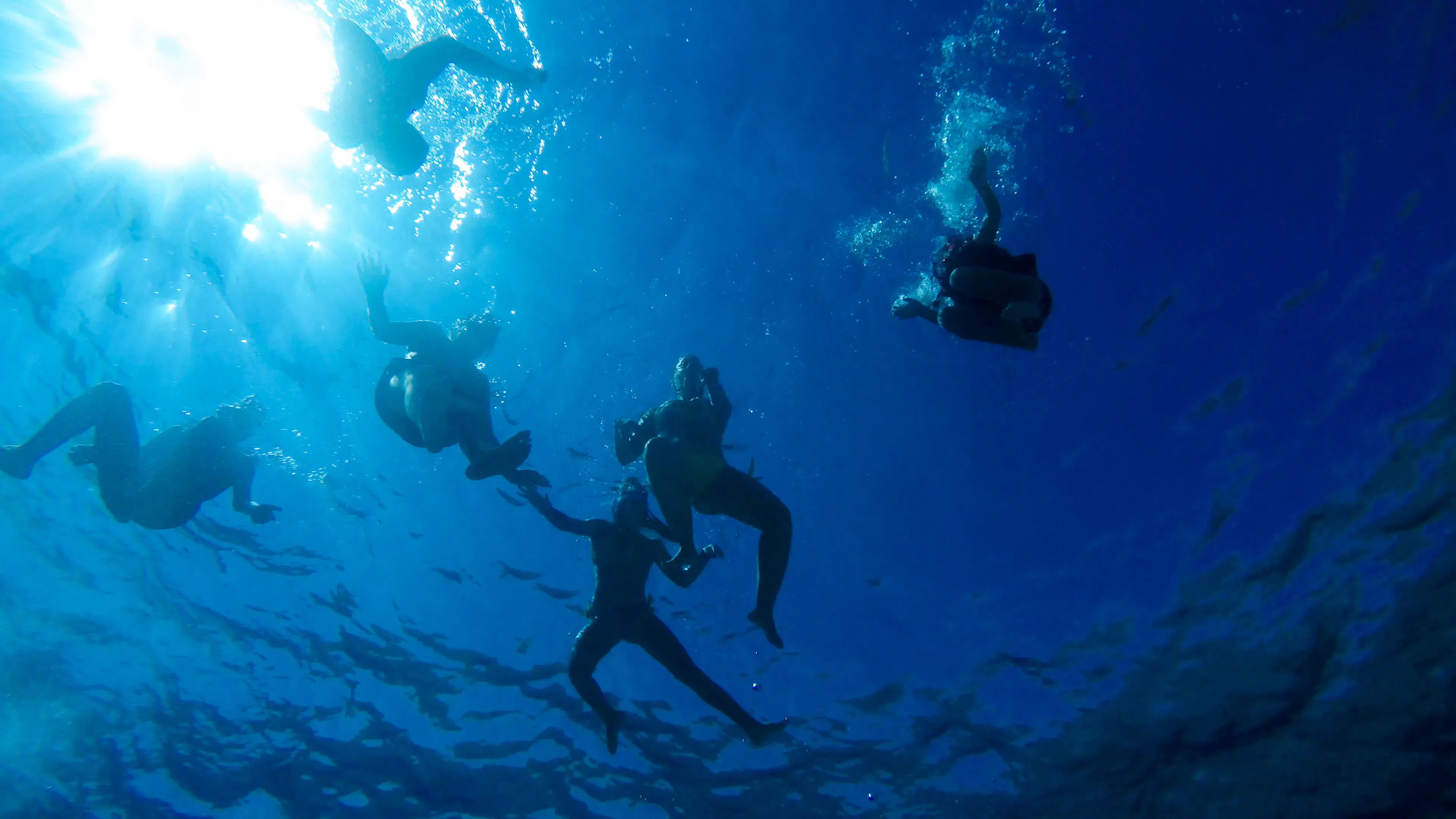 Snorkeling